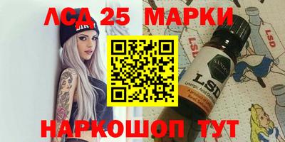 a pvp Камышлов