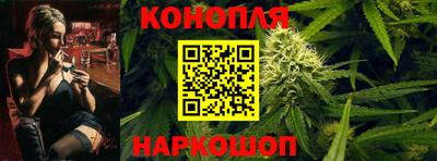 a pvp Камышлов